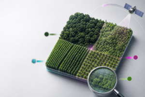 Mapa conceptual de IA que distingue bosque natural, regeneración, plantación y cultivos arbóreos mediante datos satelitales